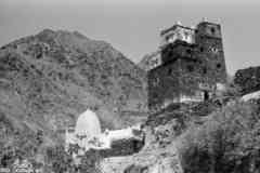 ���� ������ ��� ��� ����