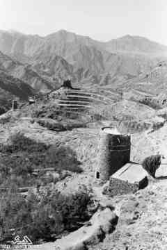 ���� ������ ��� ��� ����