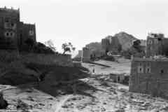 ���� ������ ��� ��� ����