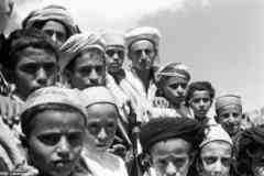 ���� ������ ��� ��� ����