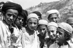 ���� ������ ��� ��� ����