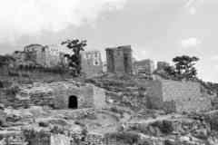 ���� ������ ��� ��� ����