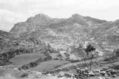 ���� ������ ��� ��� ����