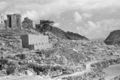 ���� ������ ��� ��� ����