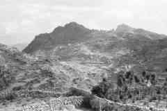 ���� ������ ��� ��� ����