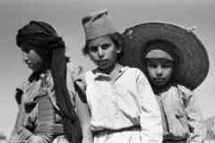 ���� ������ ��� ��� ����