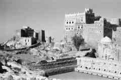 ���� ������ ��� ��� ����