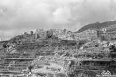 ���� ������ ��� ��� ����