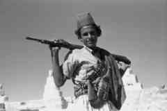 ���� ������ ��� ��� ����