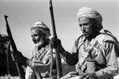 ���� ������ ��� ��� ����