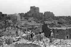 ���� ������ ��� ��� ����