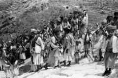 ���� ������ ��� ��� ����