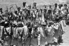 ���� ������ ��� ��� ����