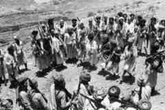 ���� ������ ��� ��� ����