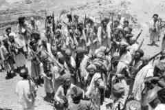 ���� ������ ��� ��� ����