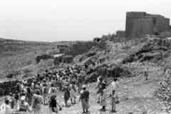 ���� ������ ��� ��� ����