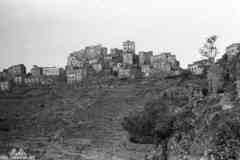 ���� ������ ��� ��� ����