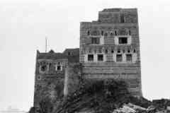 ���� ������ ��� ��� ����