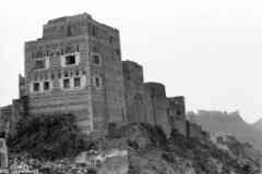 ���� ������ ��� ��� ����