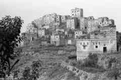 ���� ������ ��� ��� ����