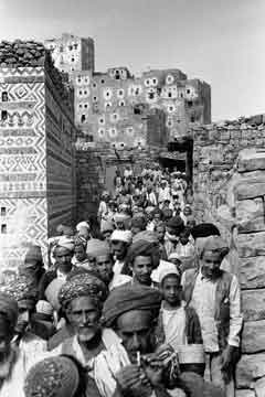 ���� ������ ��� ��� ����