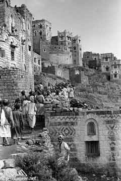 ���� ������ ��� ��� ����