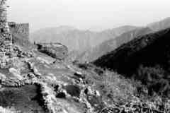 ���� ������ ��� ��� ����