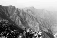 ���� ������ ��� ��� ����