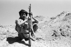 ���� ������ ��� ��� ����