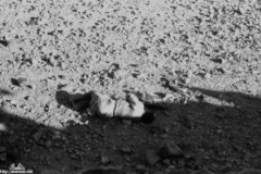 ���� ������ ��� ��� ����