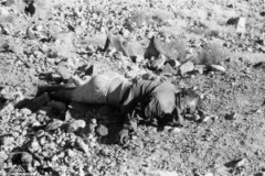 ���� ������ ��� ��� ����