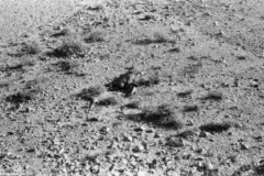 ���� ������ ��� ��� ����