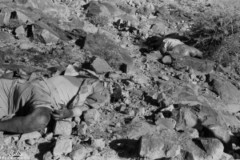 ���� ������ ��� ��� ����