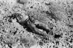 ���� ������ ��� ��� ����