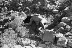 ���� ������ ��� ��� ����