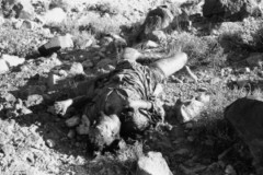 ���� ������ ��� ��� ����