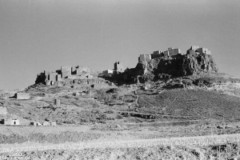 ���� ������ ��� ��� ����