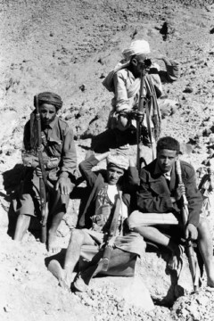 ���� ������ ��� ��� ����