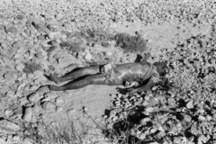 ���� ������ ��� ��� ����