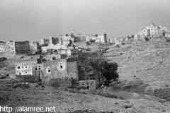 ���� ������ ��� ��� ����