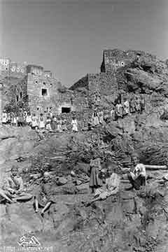 ���� ������ ��� ��� ����