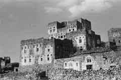 ���� ������ ��� ��� ����