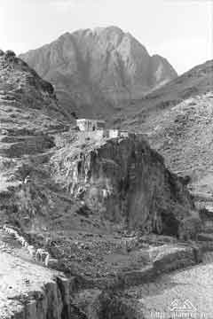 ���� ������ ��� ��� ����