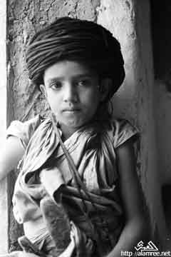 ���� ������ ��� ��� ����