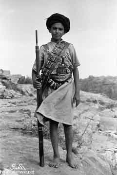 ���� ������ ��� ��� ����