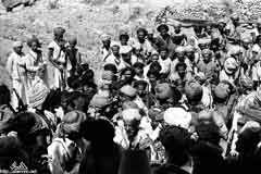 ���� ������ ��� ��� ����