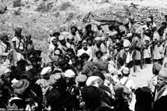 ���� ������ ��� ��� ����