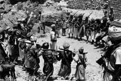 ���� ������ ��� ��� ����