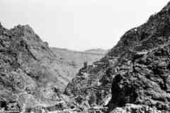 ���� ������ ��� ��� ����