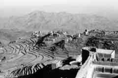 صور حاشد وقفلة عذر ووادي حيدان منذ عام 1966 الالبوم رقم 10